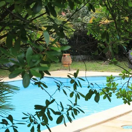 Yacumama Hostel *
