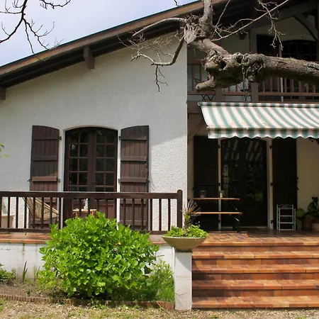 Yacumama Hostel