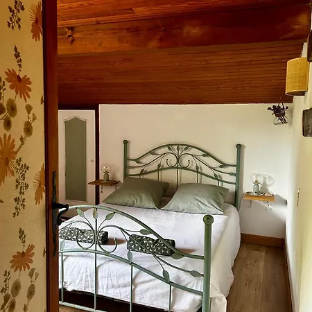 Hostel Yacumama *